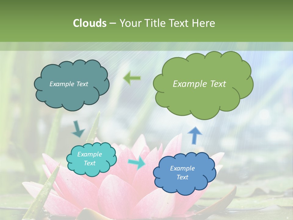 Decoration Springtime Aquatic PowerPoint Template