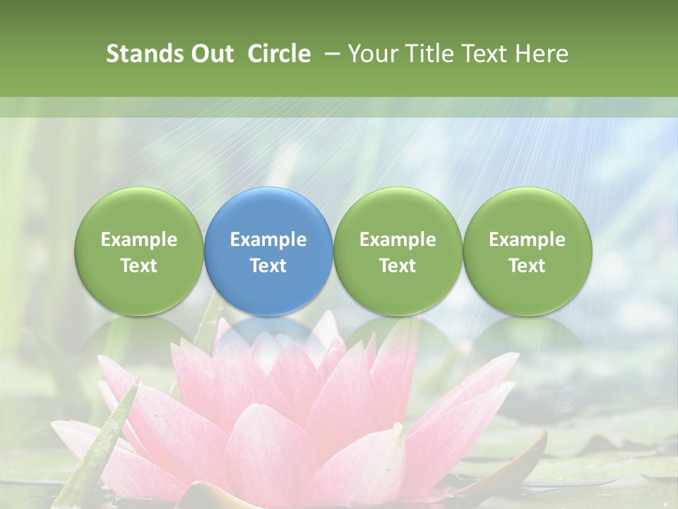 Decoration Springtime Aquatic PowerPoint Template