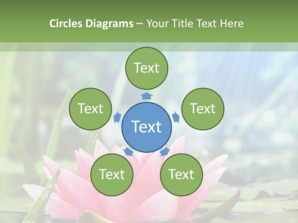 Decoration Springtime Aquatic PowerPoint Template