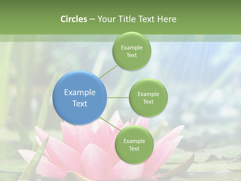 Decoration Springtime Aquatic PowerPoint Template