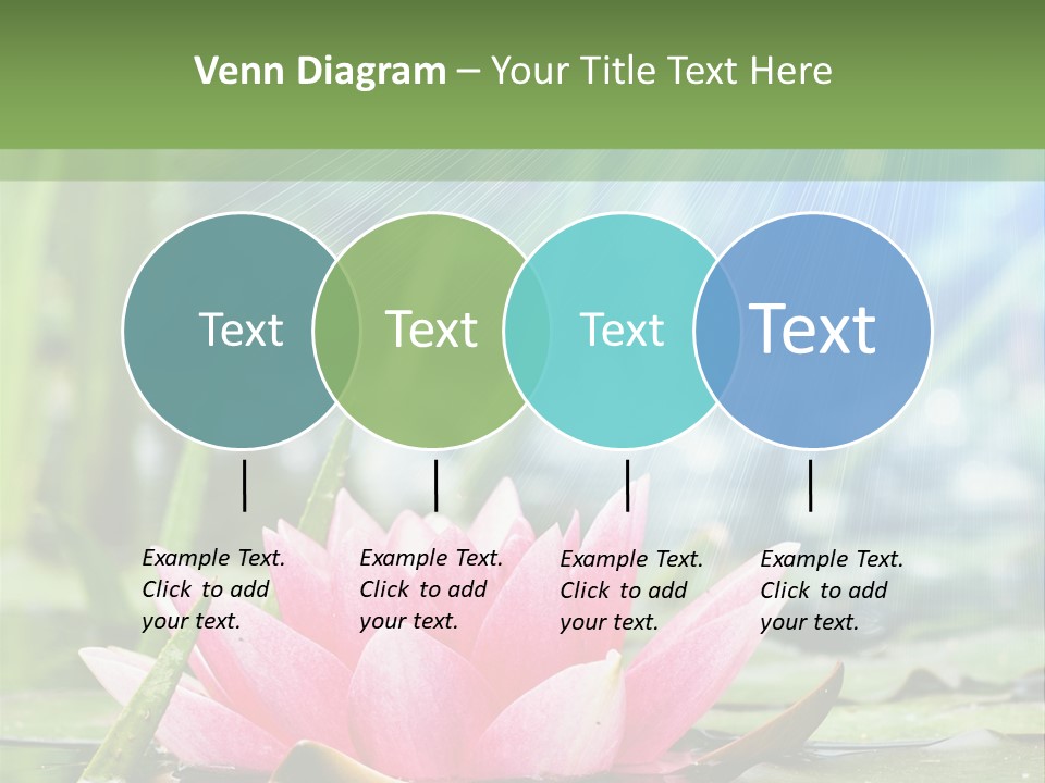 Decoration Springtime Aquatic PowerPoint Template