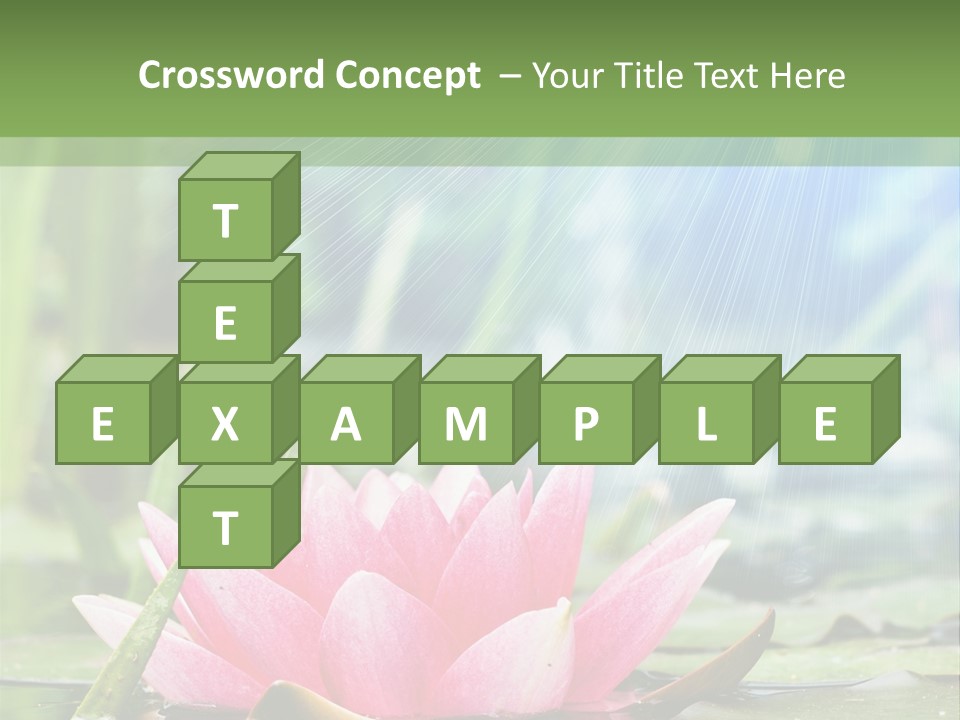 Decoration Springtime Aquatic PowerPoint Template