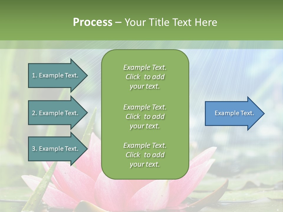 Decoration Springtime Aquatic PowerPoint Template