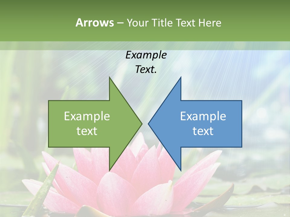 Decoration Springtime Aquatic PowerPoint Template