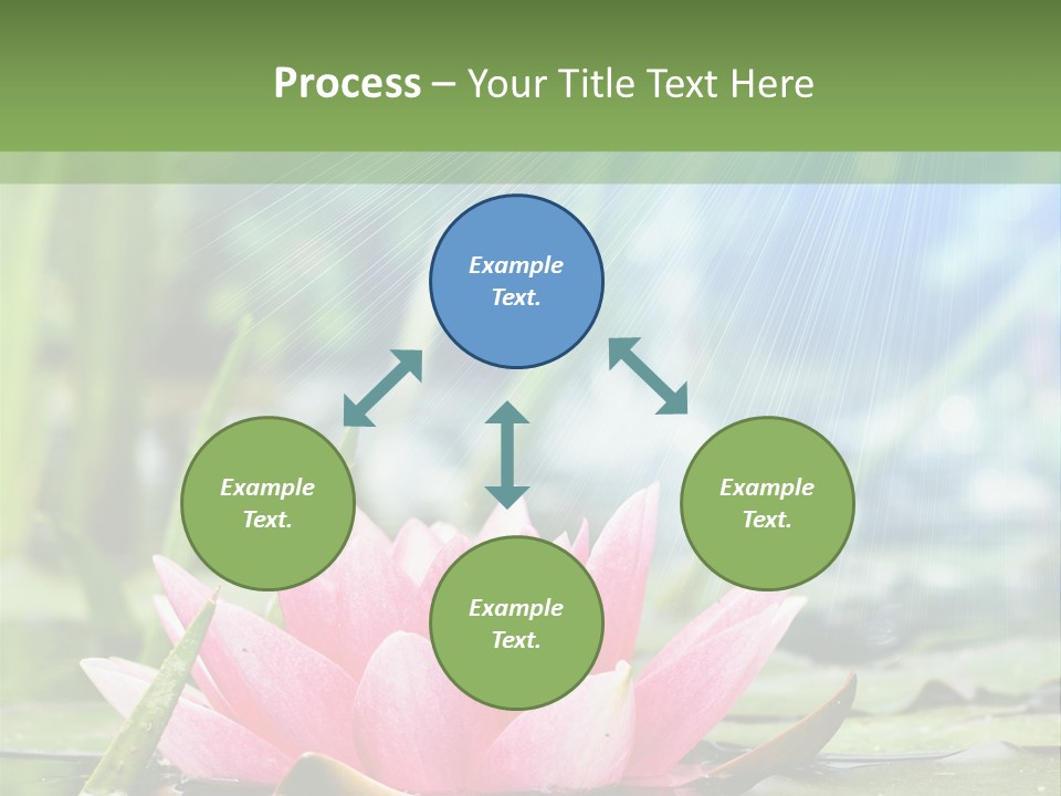 Decoration Springtime Aquatic PowerPoint Template