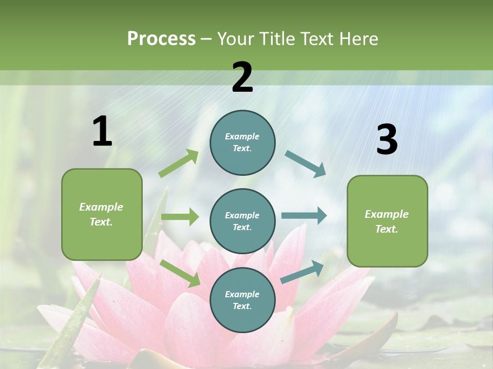 Decoration Springtime Aquatic PowerPoint Template