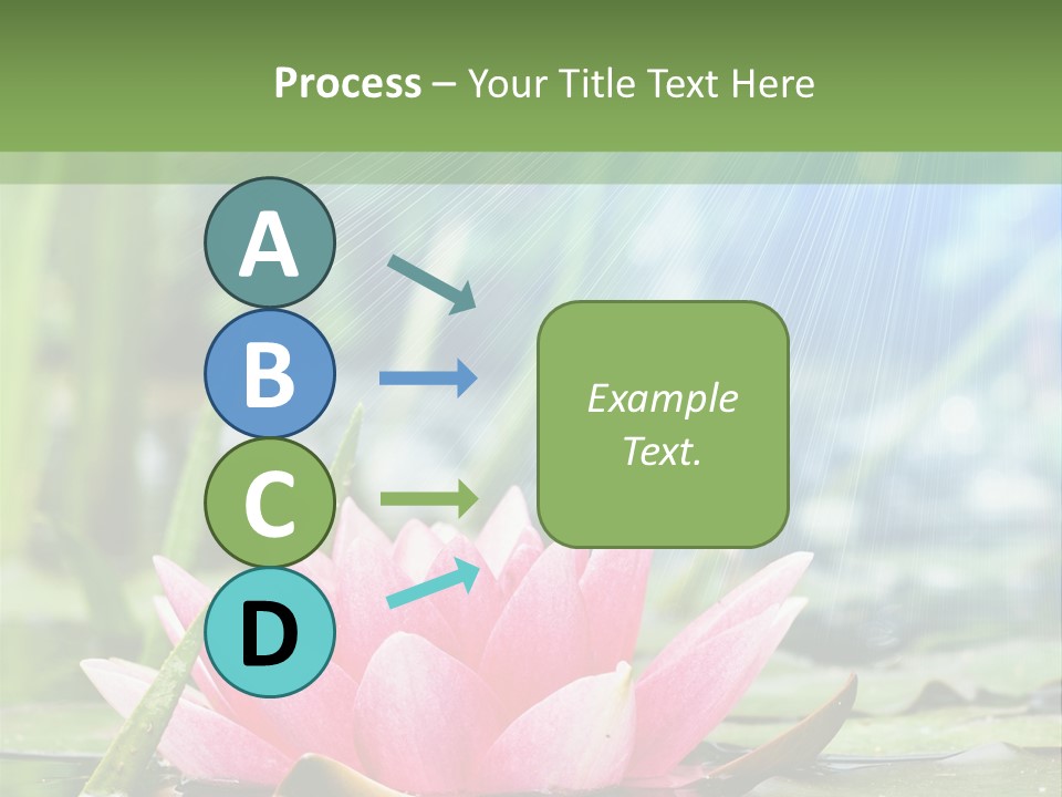 Decoration Springtime Aquatic PowerPoint Template