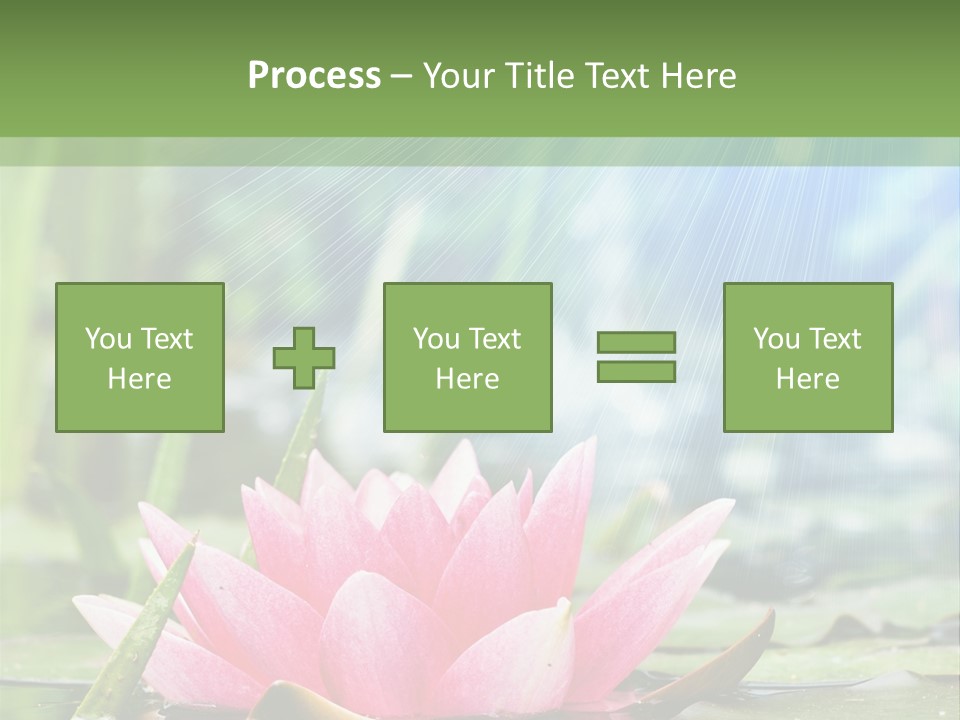 Decoration Springtime Aquatic PowerPoint Template