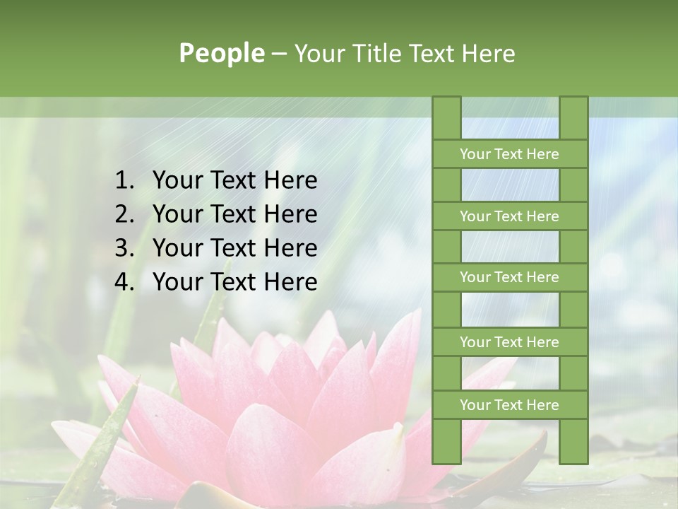 Decoration Springtime Aquatic PowerPoint Template