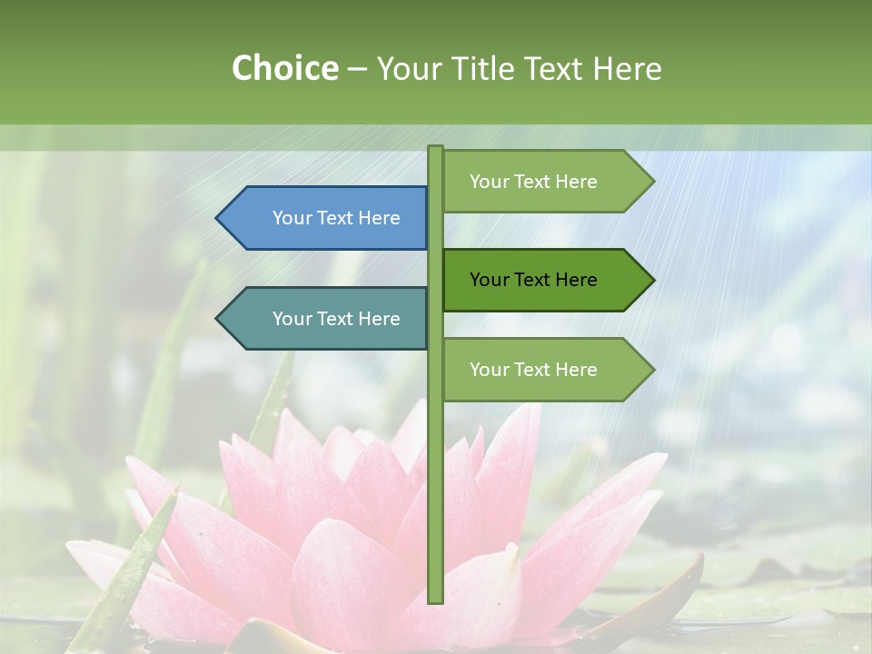 Decoration Springtime Aquatic PowerPoint Template