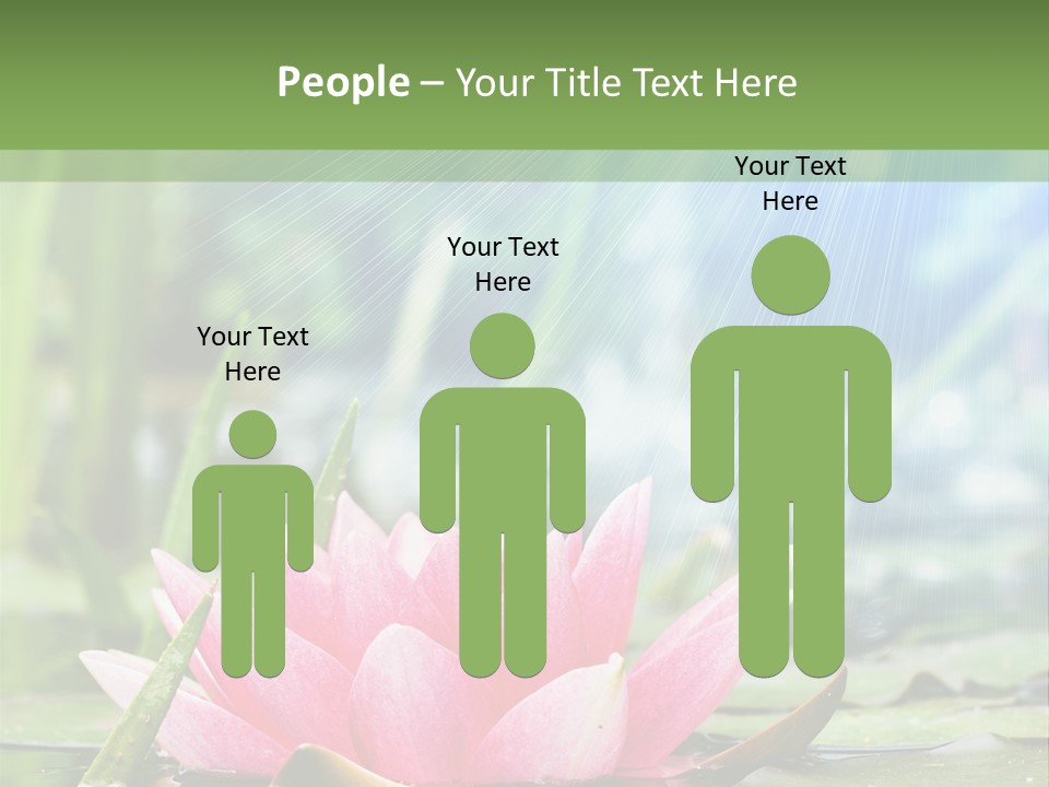 Decoration Springtime Aquatic PowerPoint Template