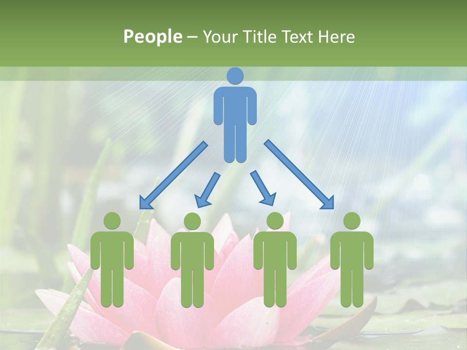 Decoration Springtime Aquatic PowerPoint Template