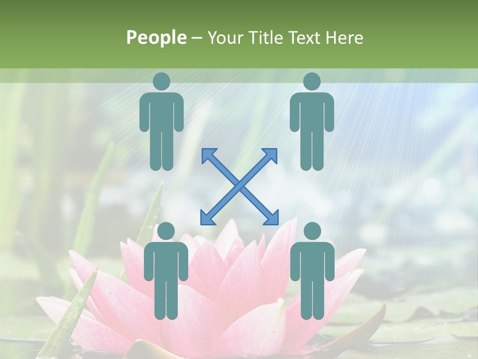 Decoration Springtime Aquatic PowerPoint Template