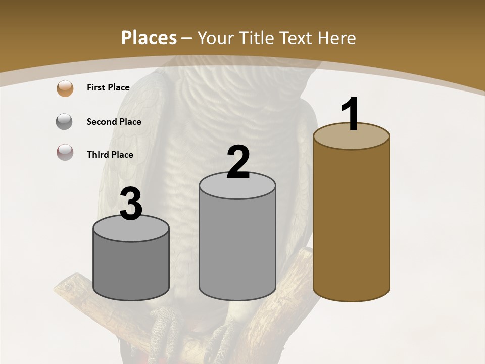 Closeup Attentive Avian PowerPoint Template