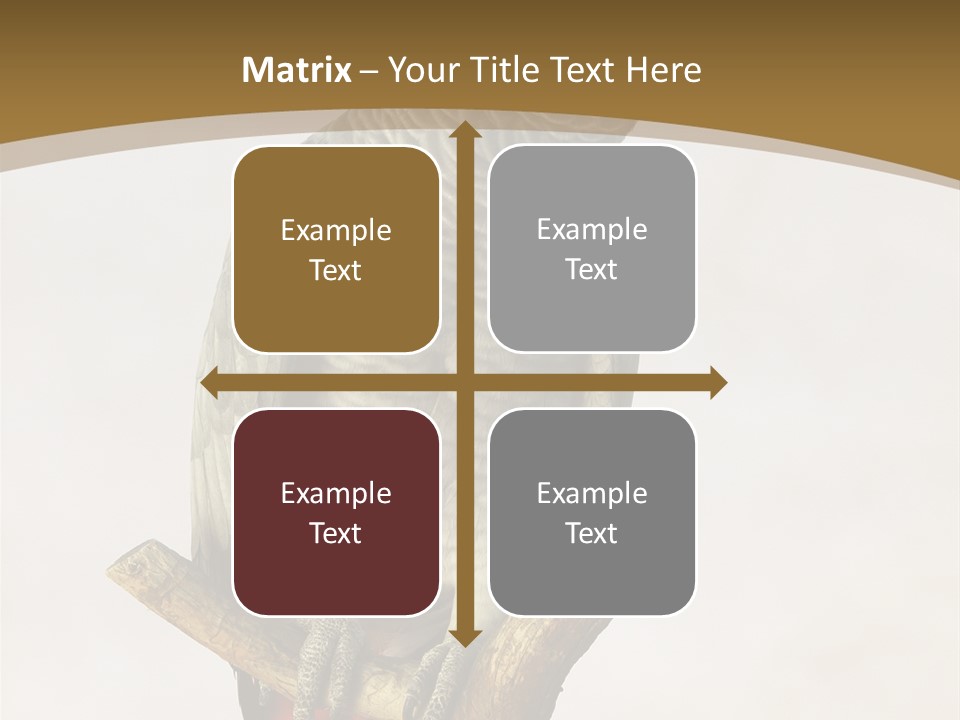 Closeup Attentive Avian PowerPoint Template