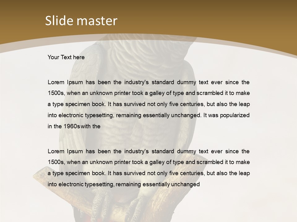 Closeup Attentive Avian PowerPoint Template