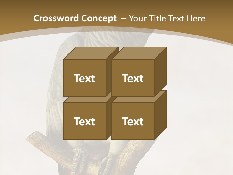 Closeup Attentive Avian PowerPoint Template