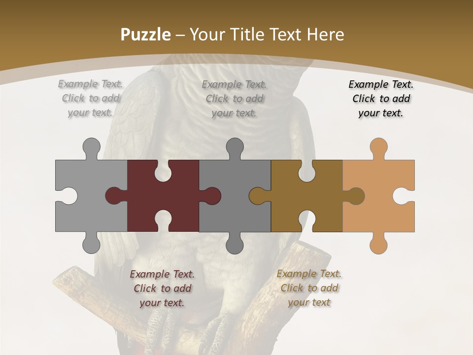 Closeup Attentive Avian PowerPoint Template