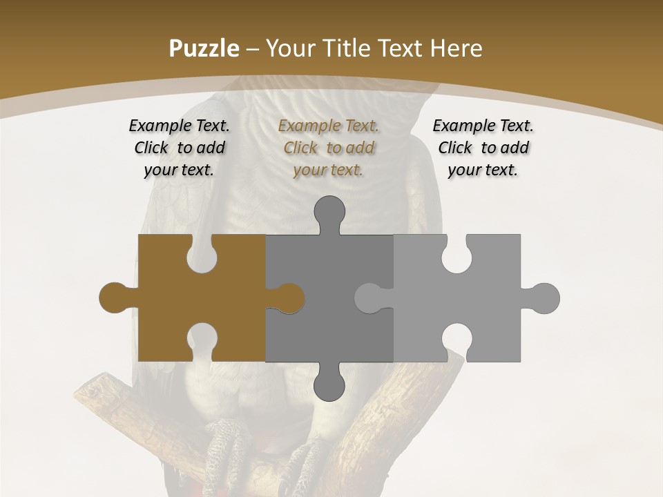 Closeup Attentive Avian PowerPoint Template