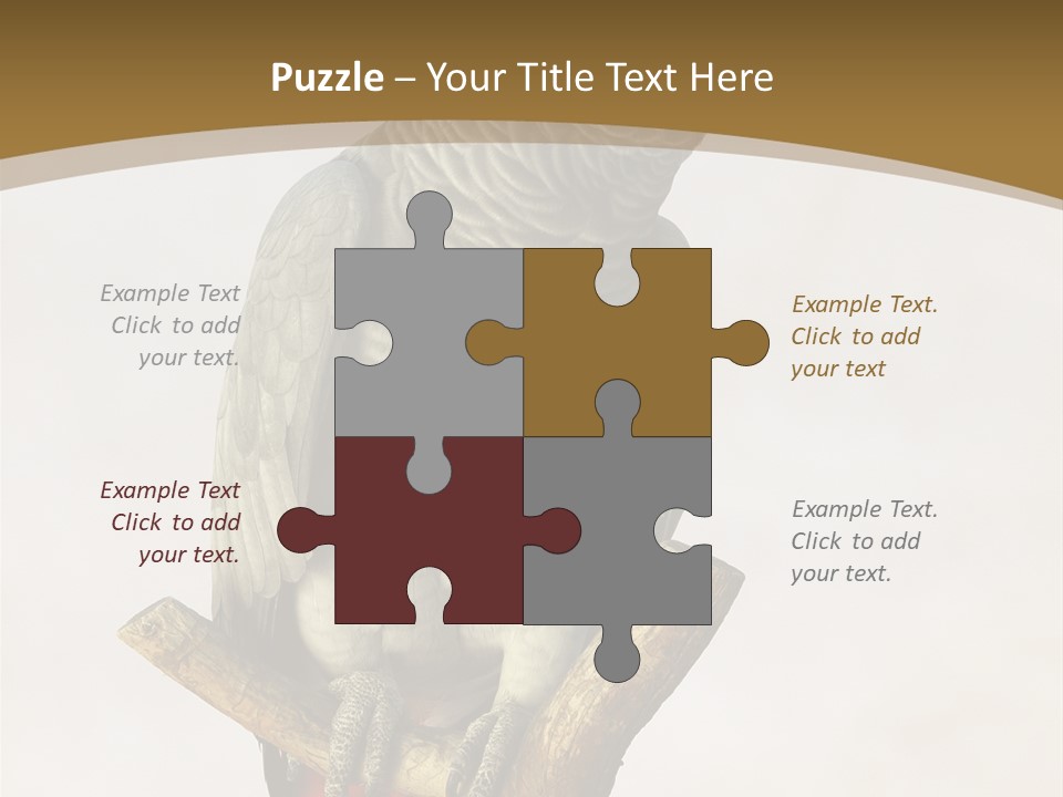 Closeup Attentive Avian PowerPoint Template