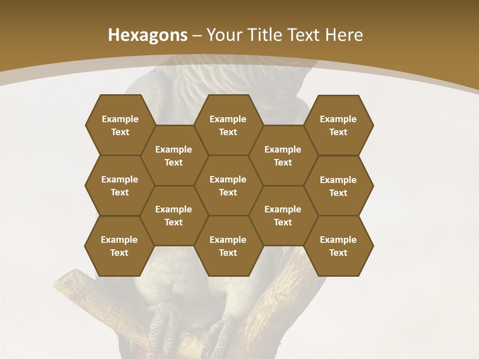 Closeup Attentive Avian PowerPoint Template