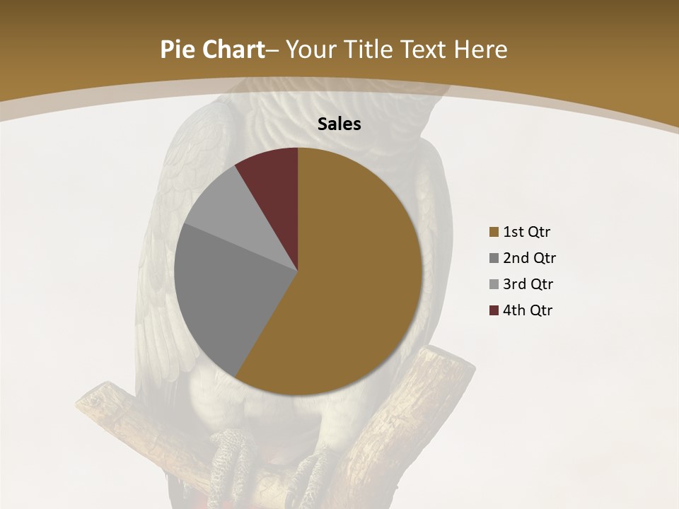 Closeup Attentive Avian PowerPoint Template