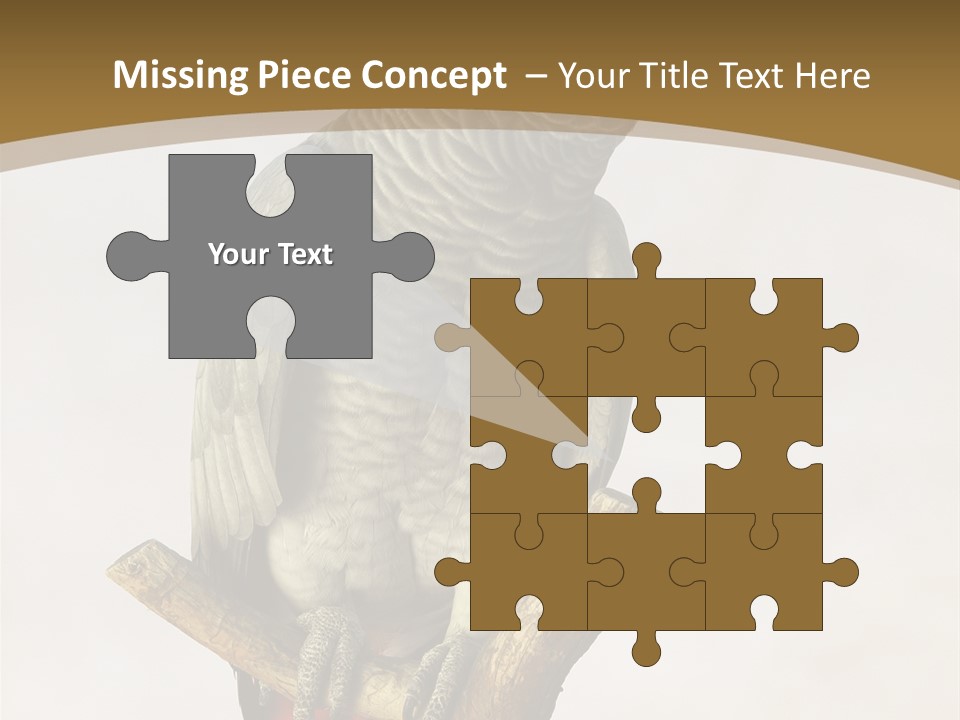 Closeup Attentive Avian PowerPoint Template