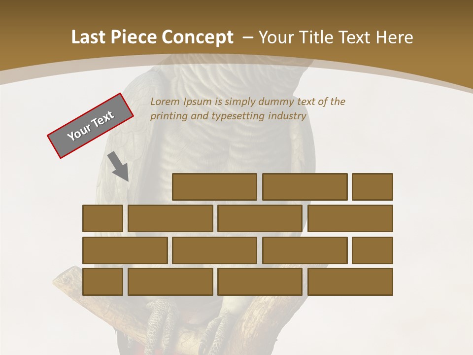 Closeup Attentive Avian PowerPoint Template