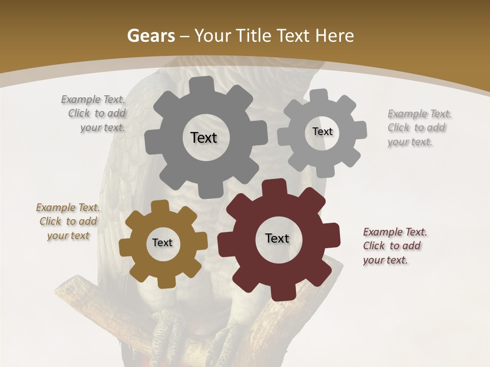 Closeup Attentive Avian PowerPoint Template