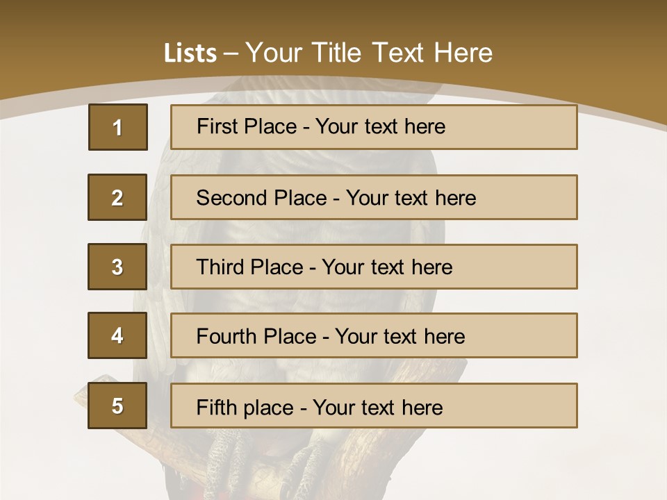 Closeup Attentive Avian PowerPoint Template