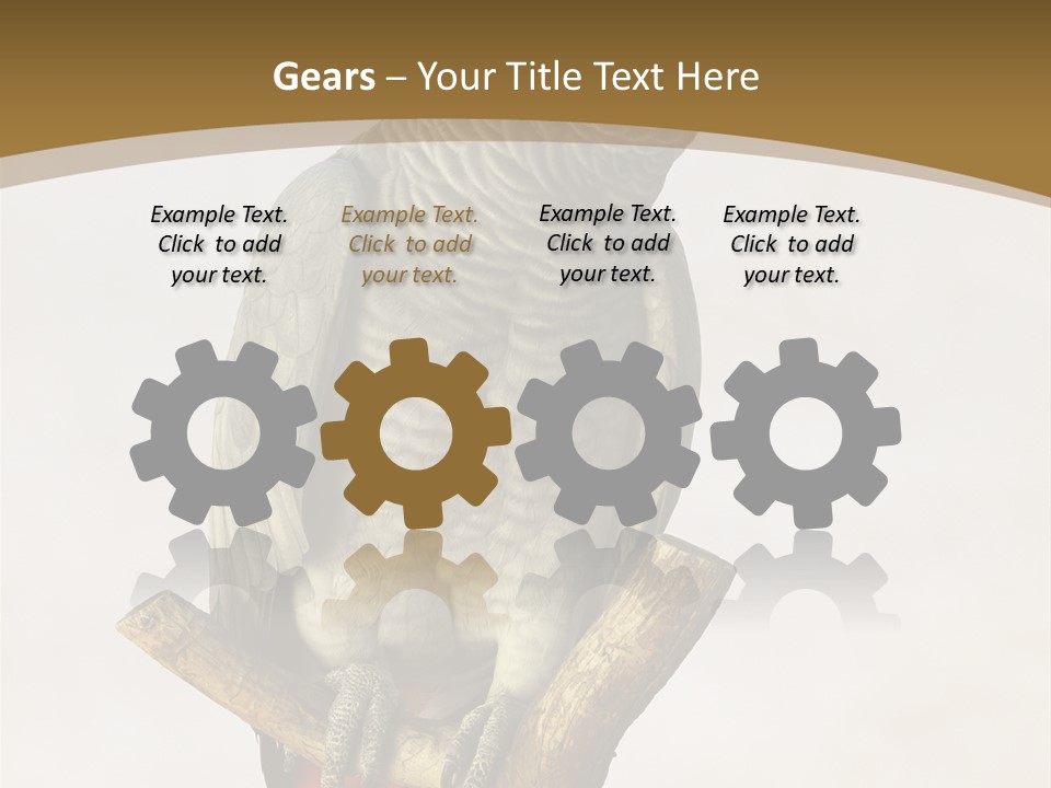 Closeup Attentive Avian PowerPoint Template