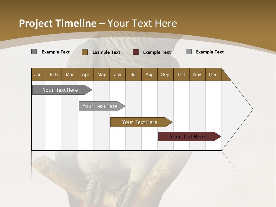 Closeup Attentive Avian PowerPoint Template