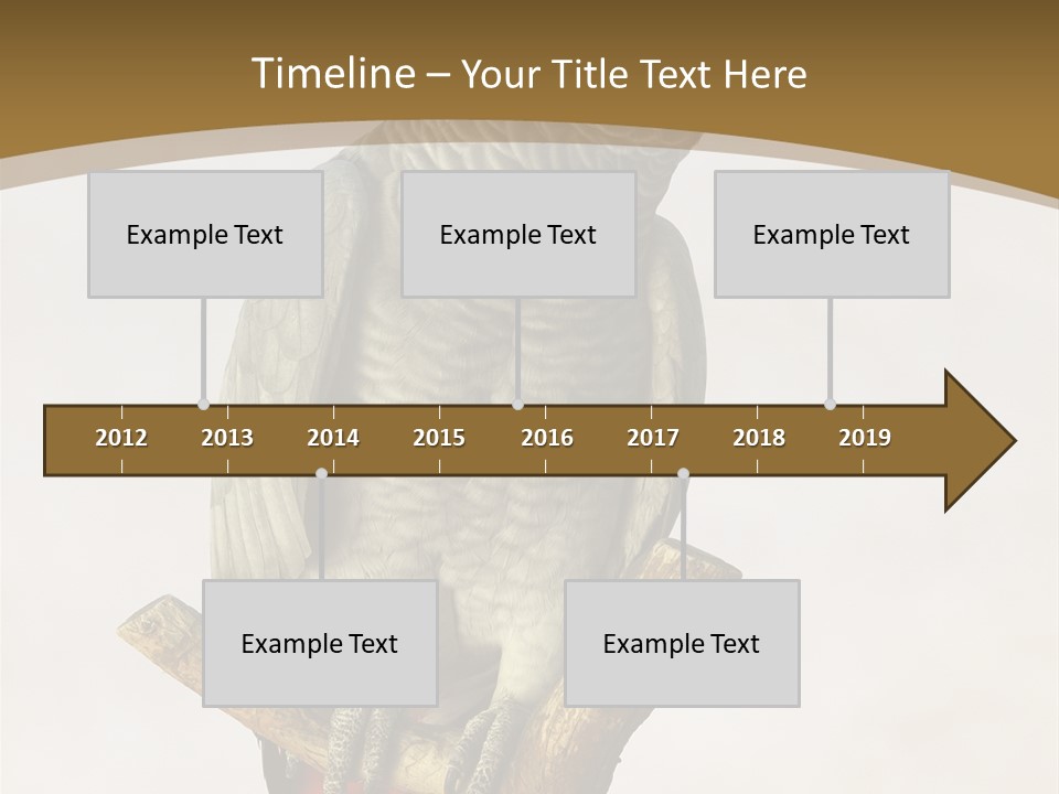 Closeup Attentive Avian PowerPoint Template