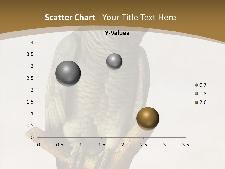 Closeup Attentive Avian PowerPoint Template