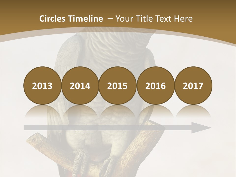 Closeup Attentive Avian PowerPoint Template