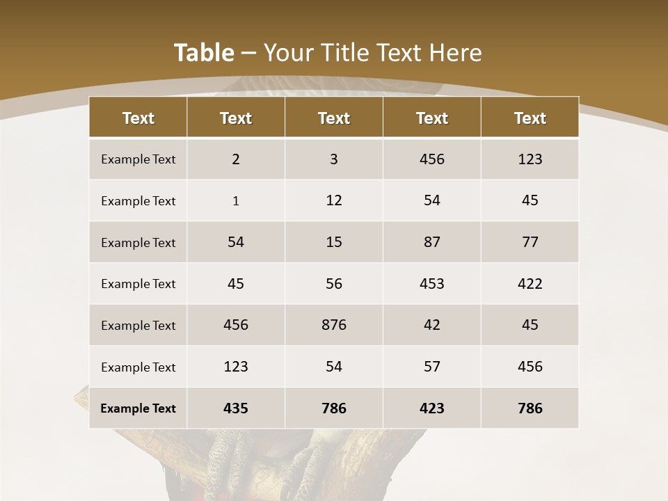 Closeup Attentive Avian PowerPoint Template