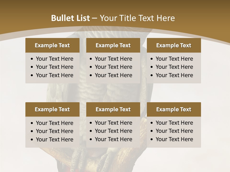 Closeup Attentive Avian PowerPoint Template