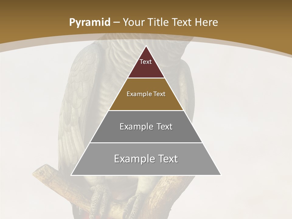 Closeup Attentive Avian PowerPoint Template