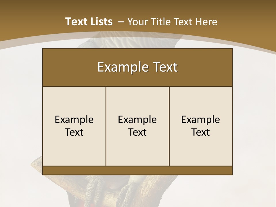 Closeup Attentive Avian PowerPoint Template