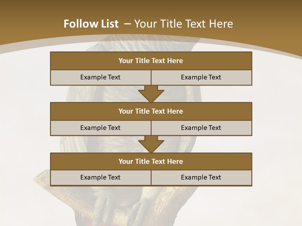 Closeup Attentive Avian PowerPoint Template