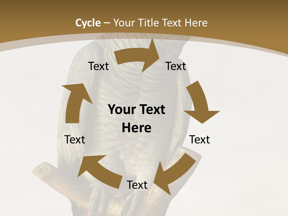 Closeup Attentive Avian PowerPoint Template
