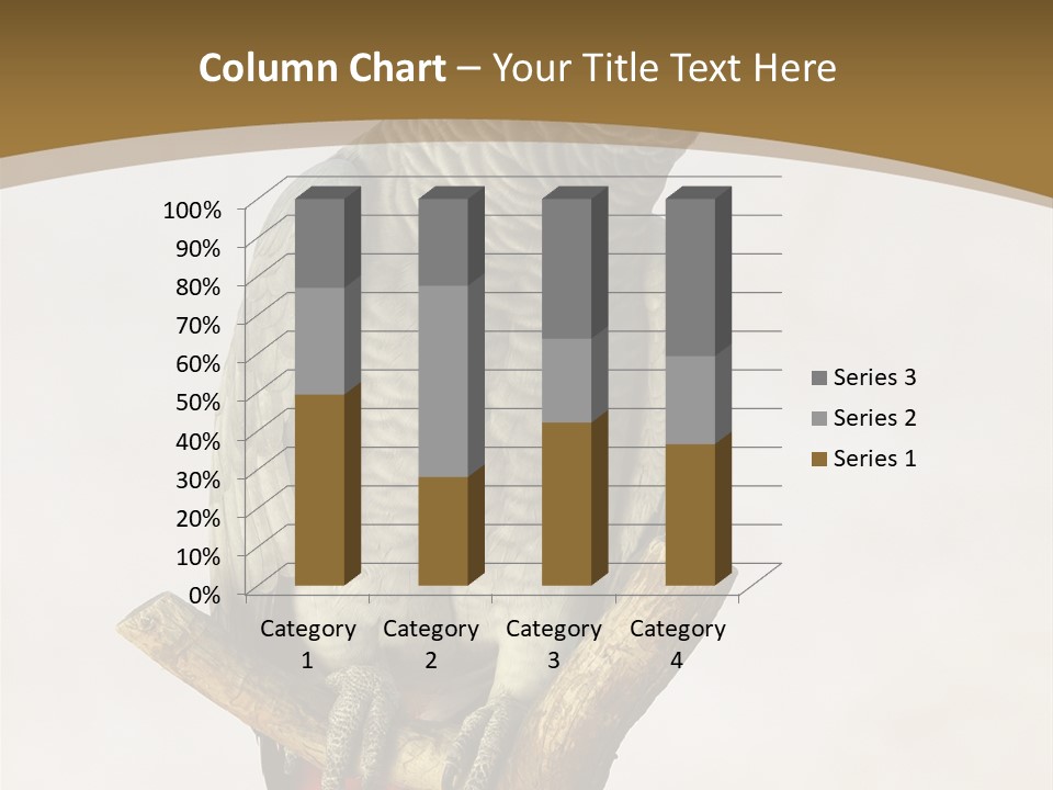Closeup Attentive Avian PowerPoint Template
