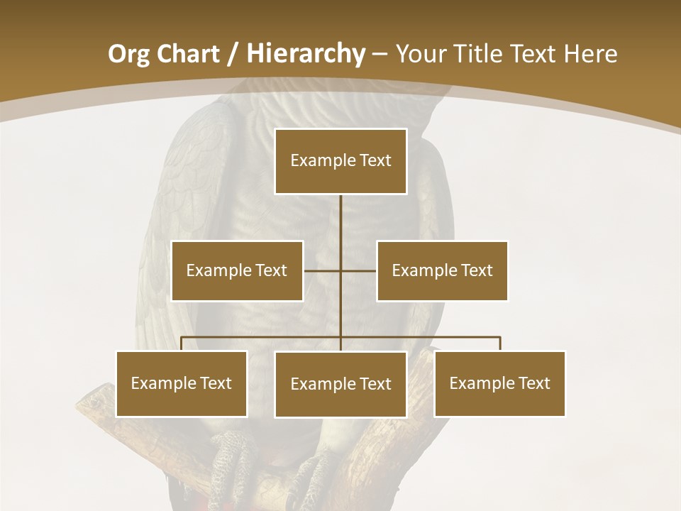 Closeup Attentive Avian PowerPoint Template