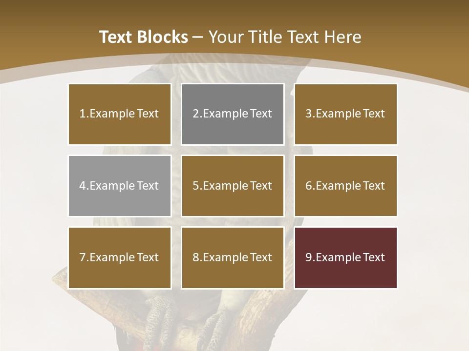 Closeup Attentive Avian PowerPoint Template