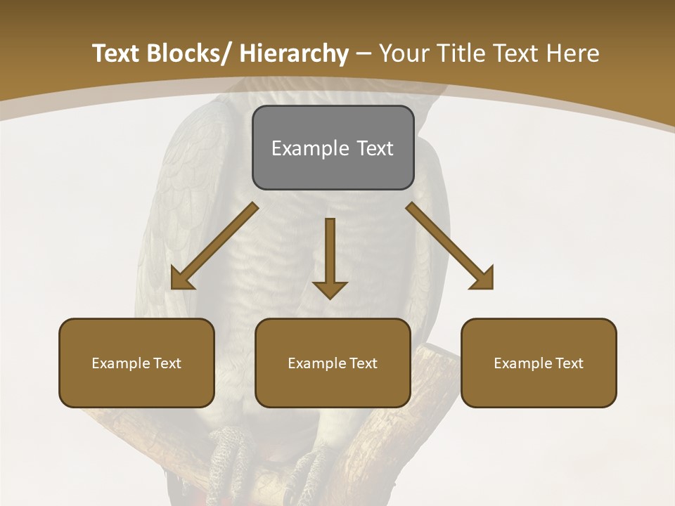 Closeup Attentive Avian PowerPoint Template