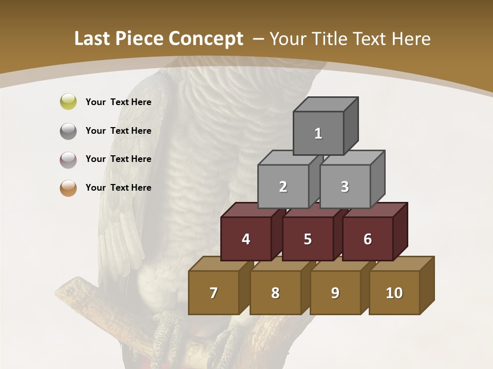 Closeup Attentive Avian PowerPoint Template