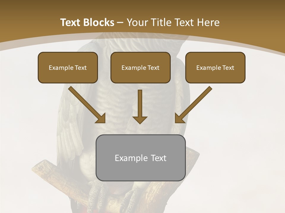 Closeup Attentive Avian PowerPoint Template