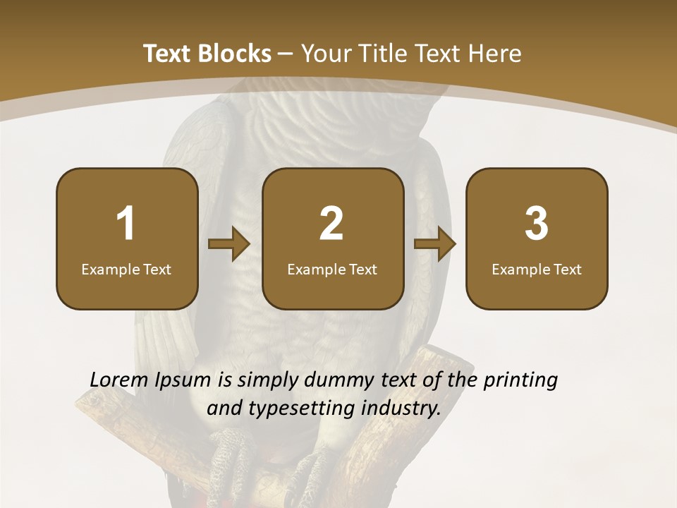 Closeup Attentive Avian PowerPoint Template