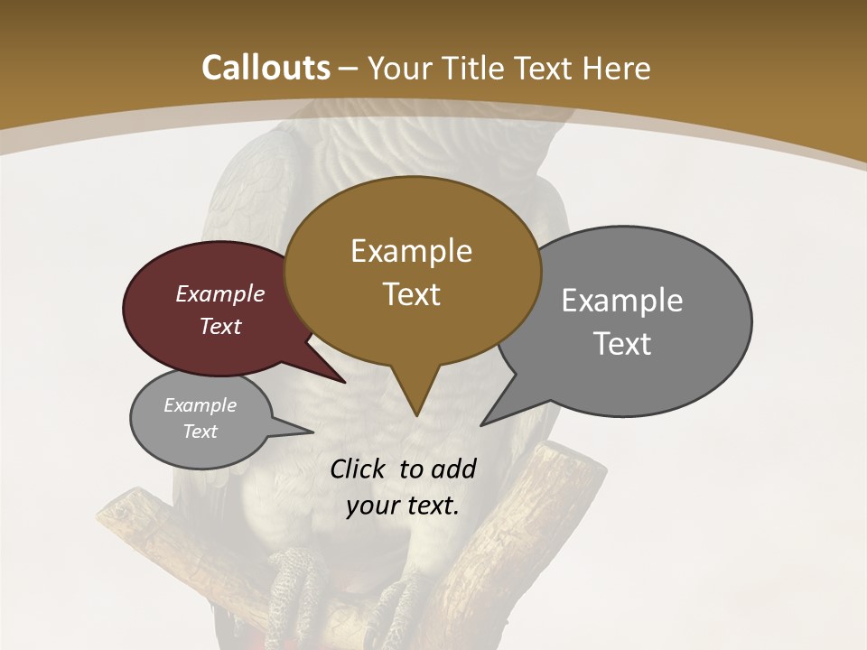 Closeup Attentive Avian PowerPoint Template