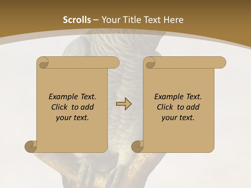 Closeup Attentive Avian PowerPoint Template